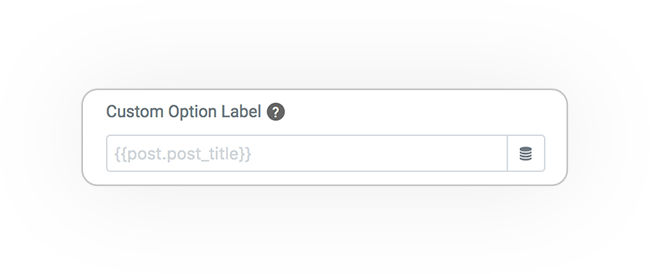 Field query custom option label