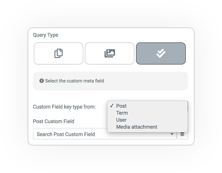 query type custom field gallery